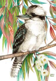 Kookaburra On Gumleaves Native Bird Print Australian Bird Etsy Australian Native Birds Australian Painting Watercolor Bird
