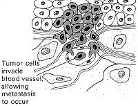 136/1995 privind asigurările şi reasigurările în românia din 23 iunie 2005, m. Http Epub Uni Regensburg De 10393 1 Dissertation Bibliothek Pdf