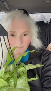 I went to the grocery store to grab a few things for dinner. I don't know  how I ended up with this plant in my cart?