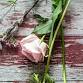 Flower Arranging Class