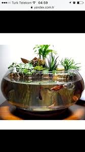 What do i need to make a water garden? Fish Terrarium Indoor Water Garden How To Make Terrariums Terrarium Plants