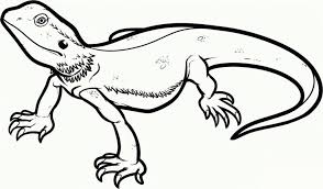 The spruce / wenjia tang take a break and have some fun with this collection of free, printable co. Free Printable Lizard Coloring Pages For Kids Dragon Coloring Page Cartoon Lizard Animal Coloring Pages