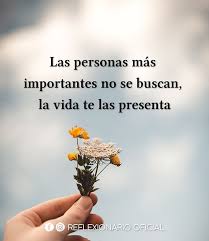 Pin En Reflexionario Instagram