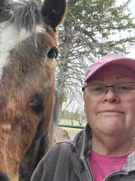 This is my new horse, Sage. She just turned a year old