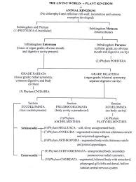 Types of animal kingdom classification: 7 Important Criteria For Classification Of Animal Kingdom