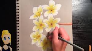 Spring and summer floral frame for. How To Draw Realistic Flowers With Colored Pencils Youtube