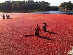 We did not find results for: 21 Best Places To Visit In New England Our Escape Clause
