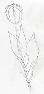 Whether you're hoping to draw a rose, daisy, tulip, or sunflower, the flower is a beautiful subject to practice your sketching — and to help make it fun. Tulip Draw Tulip Flowers In Few Easy Steps Flower Drawing Flower Art Painting Tulip Drawing
