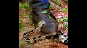 Salamun kolm mir rabir rahem sirf 121 bar parhny se kiya hota hai peerekamil wazaif surah yasin. Mozi Cheezo Se Hifazat How To Protect From Poisonous Creatures Surah Saffat Ayat 79