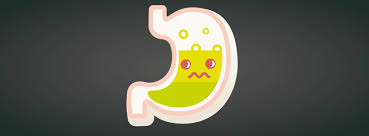 Pylori è un batterio che normalmente risiede nello stomaco, ma bassa acidità di stomaco provoca la sua maggiore crescita, che a sua volta sopprime la produzione di acido gastrico. Acidita Di Stomaco 7 Rimedi Per Combatterla L Altra Riabilitazione