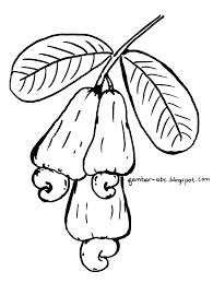 Jambu mempunyai banyak khasiat yang dapat mengobati beberapa penyakit, karena mengandung jambu mempunyai rasa asam manis dan mengandung vitamin c, a, k, asam folat, serat, dan zat besi. Contoh Gambar Mewarnai Jambu Biji Kataucap