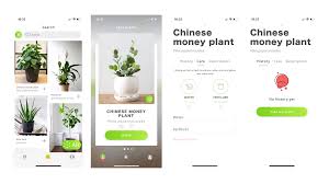› best plant id app for iphone. 7 Apps To Keep Your Plants Alive And Well