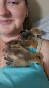 Lets bring back our land 🤔 .