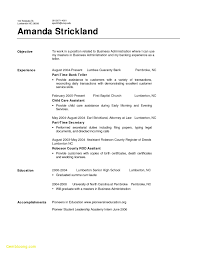 Government Job Resume Objective Best Resume Examples