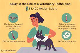 Typically, vet assistants have a lot of experience working with animals and taking care of things around the veterinarian's office, animal shelter, or animal hospital. Veterinary Technician Job Description Salary Skills More