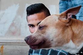 Кроме того, в сериале играют: Jorge Lopez Munoz El Clot World Photography Organisation