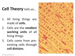 Levels Of Biological Organization From Smallest To Largest Ppt Lesson Plan Robert Hooke S Contributions To Cells And The Cell Theory Cell Theory Cell Biology Activities Science Cells