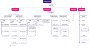 Our Structure Office Of The Victorian Information Commissioner