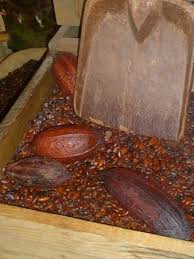 Valter Bovetti Fabrication De Tablette De Chocolat Photo De Musee Du Chocolat Bovetti Terrasson Lavilledieu Tripadvisor