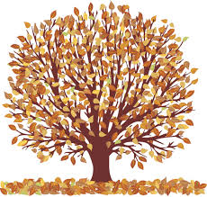 Import png, make png transparent. Png Clipart Clip Art Tree Orange Background