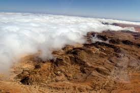 Savannah cover 64% of namibia, dry woodlands and forests 20%, while desert vegetation is distributed over 16%. Fog Desert Wikipedia