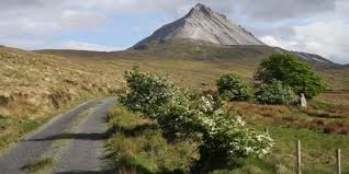Pressure had been rising on the government to reimpose a stricter lockdown than any currently in place in europe, with scientists leaking advice to that affect on sunday. Donegal Could Join Dublin At Level 3 Covid Restrictions As Soon As Today Www 98fm Com