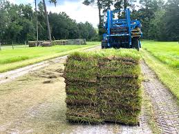 <p>central sod farms is a sod supplier business in broadneck. Sod Farm Sod Installation Bahia Sod Bermuda Sod Grovin Farms