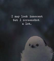 I May Look Innocent But I Screenshot A Lot Via Http Bit Ly 2ey7hg4 Innocence Quotes Life Quotes Home Quotes And Sayings