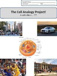 Animal cell analogy to a car. Cell Analogy Poster Worksheets Teachers Pay Teachers