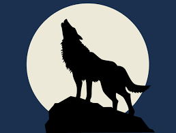The best selection of royalty free wolf silhouette vector art, graphics and stock illustrations. Wolf Howling At The Full Moon Wolf Howling At Moon Wolf Howling Wolf Silhouette