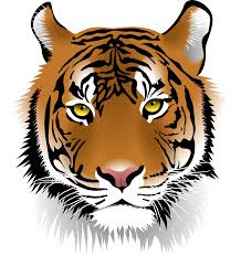 Cute Clipart Tiger Cute Tiger Transparent Free For Download On Webstockreview 2020