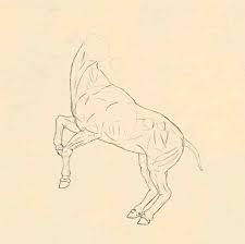 Wie Zeichnet Man Tiere Pferde Ihre Anatomie Und Posen Design Illustration Website Entwicklung Computerspiele Und Mobile Anwendungen