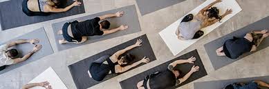 We thank each shining light of our community for 5 wonderful years! Yoga Studio Ashburn Va Reston Va Leesburg Va