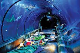 Our mission is to create unique and engaging. Sleep In The Deep Culture Bend The Source Weekly Bend Oregon