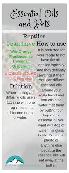 The Best Essential Oils That Are Safe For Pets Part 2 Healthy Living In Colorado Llc Best Essential Oils Essential Oils Are Essential Oils Safe
