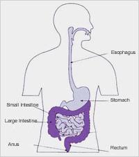 Welcome To Yoga Point