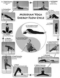 The large intestine or colon starts at the bottom of the right side of the abdominal cavity. Meridian Yoga Yoga Of Energy Flow Energy Yoga Yoga Therapy Yoga Flow