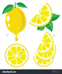 Stock Vector Vector Lemon Lemon Fruit Slices And Drop Of Lemon Juice Vector Illustrations 296367134 Jpg 1333 1600 Lemon Drawing Lemon Art Fruits Drawing