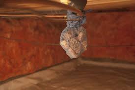 How To Get Musty Smell Out Of A Crawlspace Hunker Crawlspace Musty Smell In House Damp Basement