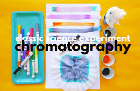 Place your grounds in the middle of your paper towel square, place your filter in your pot, and brew away! How To Do The Classic Chromatography Experiment Babble Dabble Do