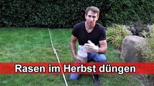 Widerstandskraft des rasens wird gestärkt. Rasen Im Herbst Dungen Herbstdunger Richtig Ausbringen Zeitpunkt Wann Womit Temperatur Youtube