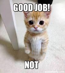 The walt disney company and its affiliated companies are equal employment opportunity employers and welcome all job seekers including individuals with disabilities and veterans with disabilities. Meme Creator Funny Good Job Not Meme Generator At Memecreator Org