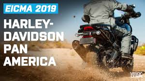 Harley Davidson Pan America Harley Davidson Streetfighter Eicma 2019 Visordown Youtube