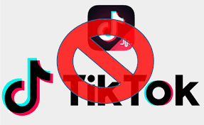 Indian State Court Ordered To Ban TikTok - iGadgetware- Get Social ...