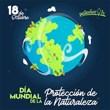 Maybe you would like to learn more about one of these? Dia Mundial De La Proteccion De La Naturaleza Sustentartv