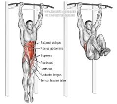 The primary hip abductors are the gluteus minimus and medius and the tensor fasciae latae. Hip Raise Exercise Muscle Diagram Introduction To Electrical Wiring Diagrams