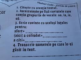 Cuvant, fraza sau vers care se poate citi in cele doua sensuri. Scrie Cuvinte Cu AcelaÈ™i Inteles Pt Brainly Ro