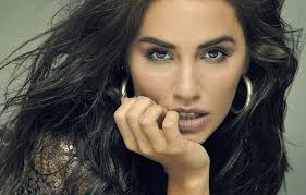 Multi-Fandom (@suculentoroyce)