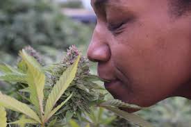 Inspiring Conversations with Angela Howard of Conscious Cultivators