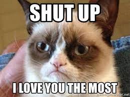 Shut Up I Love You The Most Angry Cat Meme Meme Generator